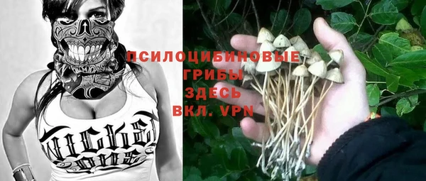 ECSTASY Санкт-Петербург