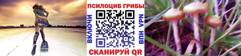 Галлюциногенные грибы MAGIC MUSHROOMS Шумиха