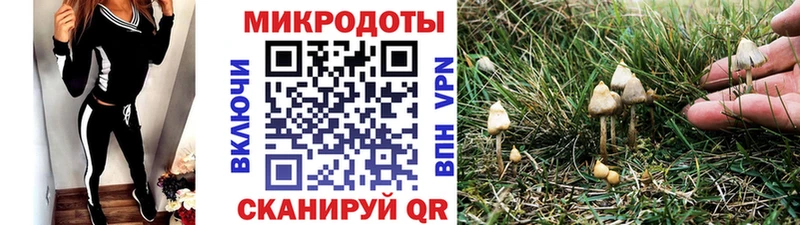 площадка официальный сайт  закладки  Шумиха  Псилоцибиновые грибы Cubensis 